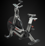 AssaultBike Elite