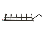 Horizontal Bumper Plate Storage