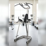 Vertical Knee Raise with Pull Up Station - Muscle D Fitness - Commercial