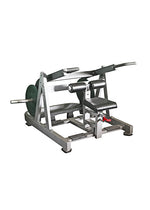Dip/Tricep Machine