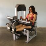 Seated Leg Curl