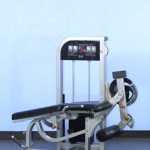 Leg Extension/Prone Leg Curl Combo