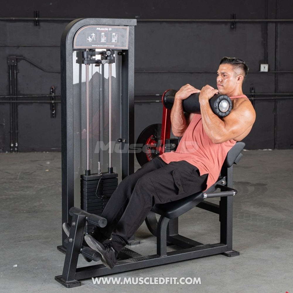 Classic V2 Selectorized Back / Ab Combo by Muscle D Fitness - Dual Function Core Machine