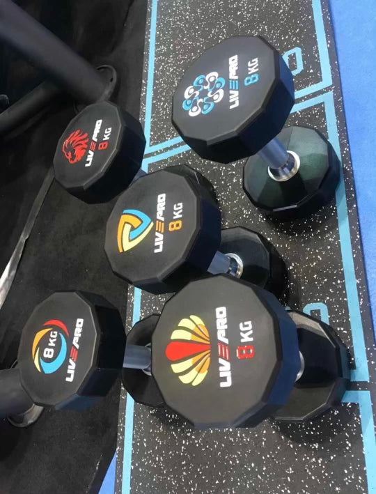 Custom Round/Dodecagon/Chrome/Stainless steel Dumbbells (Inquiry & Custom Order)