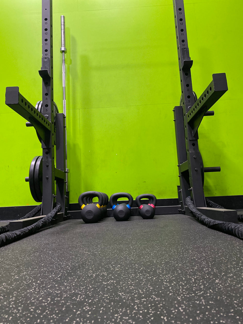 Deluxe Squat Stand- Sale!!!