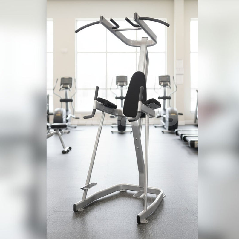 Vertical Knee Raise with Pull Up Station - Muscle D Fitness - Commercial