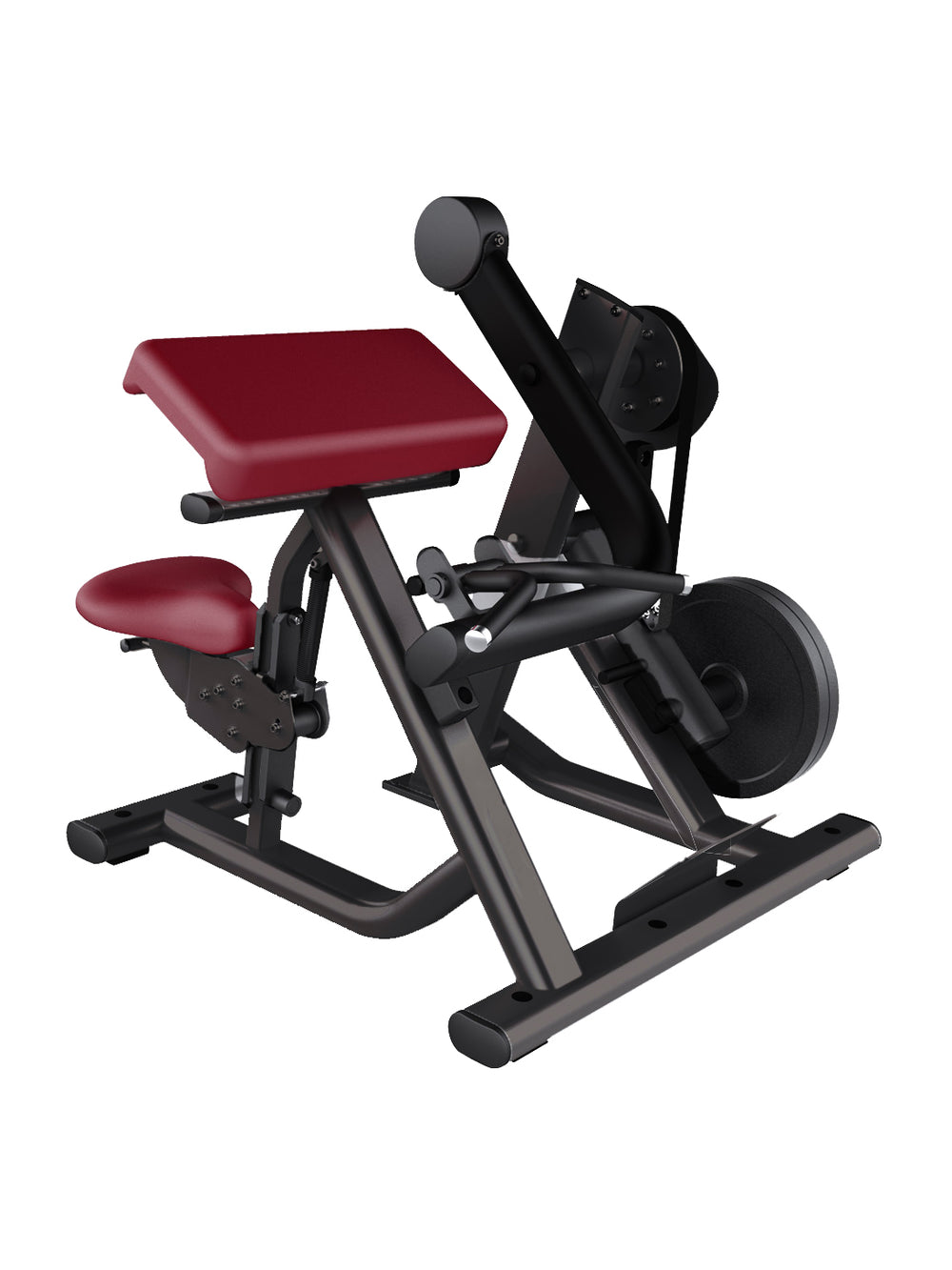 Bicep Curl Machine