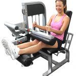 Leg Extension/Seated Leg Curl Combo Machine