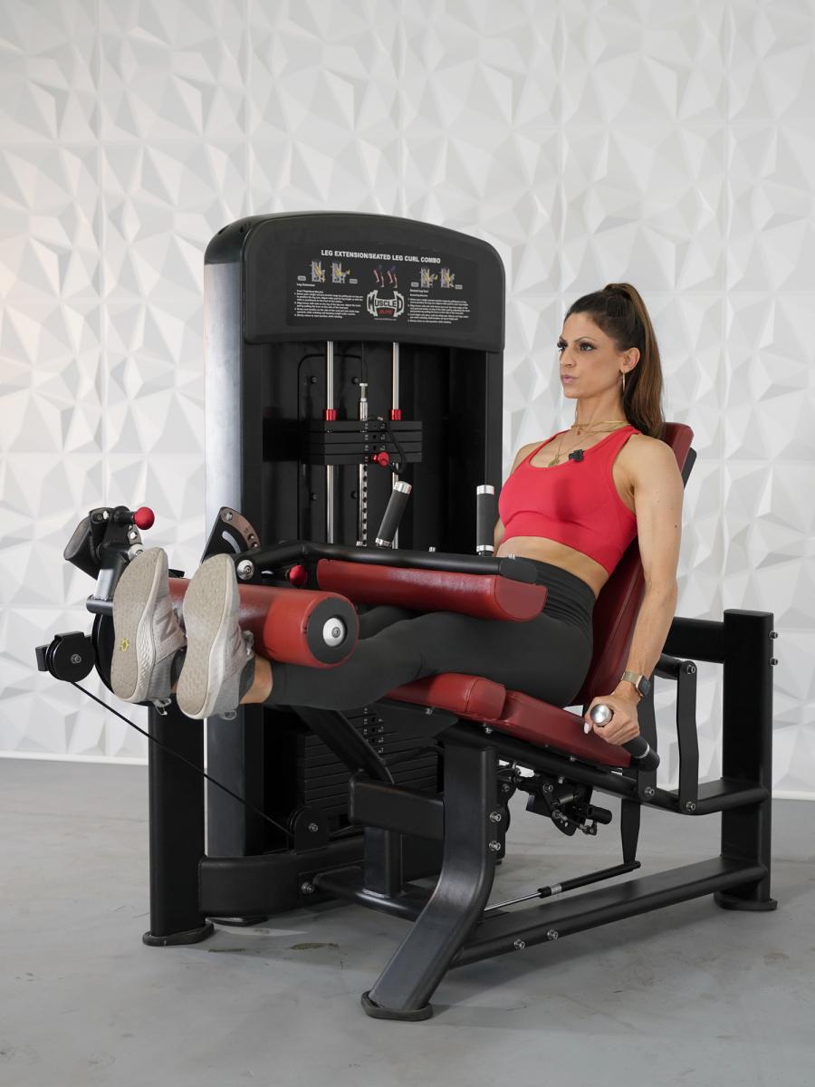 Setaed Hamstring Curl Seated Leg Curls